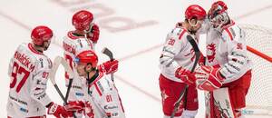 Hokejisté Třince se sjíždějí k brankáři po dohraném extraligovém utkání