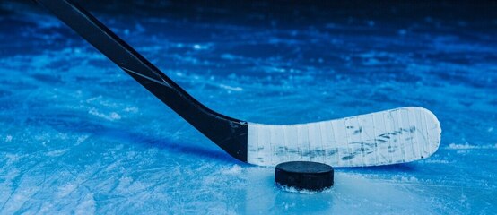 Univerzitní liga ledního hokeje - ULLH Česko - program, zápasy, výsledky, tabulka a online live stream