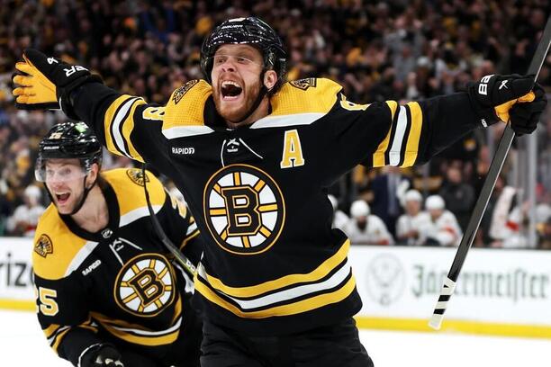 Hokejista David Pastrňák oslavuje gól v NHL v dresu Bostonu - podívejte se na kanadské bodování, tabulku střelců a statistiky NHL