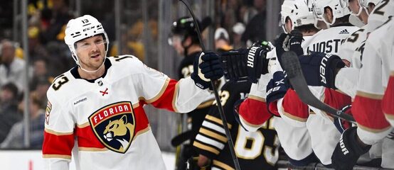 Největší hvězdou 5. týdne NHL byl útočník Floridy Panthers Sam Reinhart. Největší hvězdou 5. týdne NHL byl útočník Floridy Panthers Sam Reinhart.