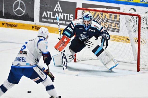 Kometa Brno v této sezóně Liberec vždy vysoko porazila. Kdo vyhraje dnes? Sledujte jejich zápas od 17:00 živě na TV Tipsport.