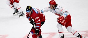 Hokejisté Jakub Krejčík a Daniel Voženílek v utkání Sparta vs. Třinec v hokejové extralize 2023/2024 Hokejisté Jakub Krejčík a Daniel Voženílek v utkání Sparta vs. Třinec v hokejové extralize 2023/2024
