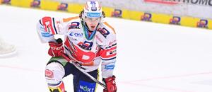 Kapitán Pardubic Lukáš Sedlák bude patřit k nejsledovanějším osobnostem čtvrtfinále play off ELH. Kapitán Pardubic Lukáš Sedlák bude patřit k nejsledovanějším osobnostem čtvrtfinále play off ELH.