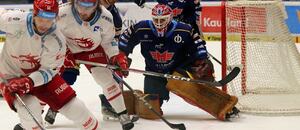 Za stavu 3:1 na zápasy má Třinec druhý mečbol v sérii. Porazí doma České Budějovice? Sledujte 5. čtvrtfinále play off živě na TV Tipsport.