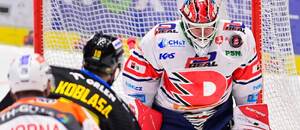 Petr Koblasa a Roman Will by měli být důležitými hráči semifinále Pardubice vs. Litvínov v play off extraligy 2024 Petr Koblasa a Roman Will by měli být důležitými hráči semifinále Pardubice vs. Litvínov v play off extraligy 2024