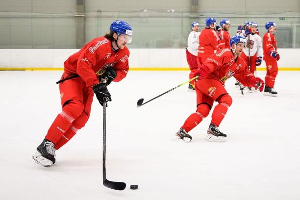 Andrej Šustr a Roman Červenka na přípravném kempu české hokejové reprezentace, která se na Euro Hockey Challenge 2024 utká s Německem