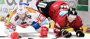 Zápas Tipsport ELH, Pardubice vs. Sparta Praha Zápas Tipsport ELH, Pardubice vs. Sparta Praha