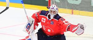 Hokej, Liga mistrů 2024/25: Brankář Dynama Roman Will v utkání s Lahti, dnes Pardubice a Třinec čeká bitva o play off CHL Hokej, Liga mistrů 2024/25: Brankář Dynama Roman Will v utkání s Lahti, dnes Pardubice a Třinec čeká bitva o play off CHL