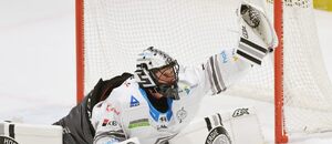Hokej, česká Tipsport extraliga 2024/25: Dominik Frodl chytá jednu ze střel Vervy, další derby Karlovy Vary vs. Litvínov sledujte živě dnes Hokej, česká Tipsport extraliga 2024/25: Dominik Frodl chytá jednu ze střel Vervy, další derby Karlovy Vary vs. Litvínov sledujte živě dnes
