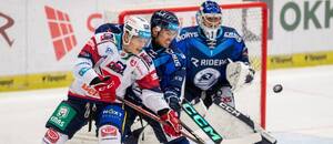 Jakub Lichtag (Pardubice), Patrik Demel a Lukáš Pařík (Vítkovice) v zápase Tipsport extraligy 2024/25 Jakub Lichtag (Pardubice), Patrik Demel a Lukáš Pařík (Vítkovice) v zápase Tipsport extraligy 2024/25