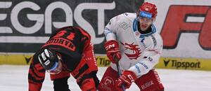 Zápas Tipsport ELH, Třinec vs. Olomouc, v souboji o puk Miloš Roman (Třinec) a Lukáš Nahodil (Olomouc) Zápas Tipsport ELH, Třinec vs. Olomouc, v souboji o puk Miloš Roman (Třinec) a Lukáš Nahodil (Olomouc)