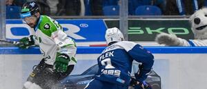 Hokej Tipsport extraliga, zápas Mladá Boleslav vs. Kometa Brno, na kotouči Jakub Flek z Komety Hokej Tipsport extraliga, zápas Mladá Boleslav vs. Kometa Brno, na kotouči Jakub Flek z Komety