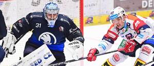 Hokej, extraliga: brankář Plzně Nick Malík a útočník Pardubic Daniel Herčík, Plzeň a Pardubice dnes hrají ve 24. kole ELH 2024/25 Hokej, extraliga: brankář Plzně Nick Malík a útočník Pardubic Daniel Herčík, Plzeň a Pardubice dnes hrají ve 24. kole ELH 2024/25