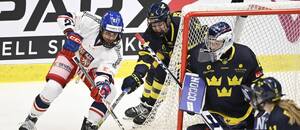Hokej ženy, WEHT 2024: Utkání Česko vs. Švédsko na zastávce ženské EHT ve Švédsku, dnes se oba týmy střetnou v Tampere Hokej ženy, WEHT 2024: Utkání Česko vs. Švédsko na zastávce ženské EHT ve Švédsku, dnes se oba týmy střetnou v Tampere