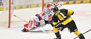 Hokej, Tipsport extraliga 2024/25 - Pardubice a Litvínov vedou žebříček týmů ELH v půlce sezony Hokej, Tipsport extraliga 2024/25 - Pardubice a Litvínov vedou žebříček týmů ELH v půlce sezony
