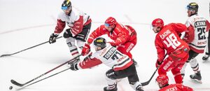 Hokej extraliga, Sparta Praha vs. Třinec, o puk se přetahují Vladimír Sobotka (Sparta) a Martin Marinčin (Třinec) Hokej extraliga, Sparta Praha vs. Třinec, o puk se přetahují Vladimír Sobotka (Sparta) a Martin Marinčin (Třinec)