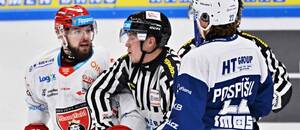 Radovan Pavlík a Kristián Pospíšil v říjnovém zápase Komety proti Hradci v Tipsport extralize Radovan Pavlík a Kristián Pospíšil v říjnovém zápase Komety proti Hradci v Tipsport extralize