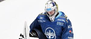 Gólman Adam Brízgala z Kladna se stál 1. hvězdou 14. extraligového týdne v ročníku 2024/25 Gólman Adam Brízgala z Kladna se stál 1. hvězdou 14. extraligového týdne v ročníku 2024/25