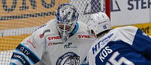 27. kolo hokejové extraligy: Jakub Kos z Brna střílí na libereckého gólmana Petra Kváču. 27. kolo hokejové extraligy: Jakub Kos z Brna střílí na libereckého gólmana Petra Kváču.