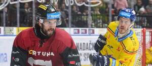 31. kolo hokejové extraligy 2024/25: Českobudějovický Pavel Pýcha (vpravo) stíhá Tomáše Hyku ze Sparty 31. kolo hokejové extraligy 2024/25: Českobudějovický Pavel Pýcha (vpravo) stíhá Tomáše Hyku ze Sparty