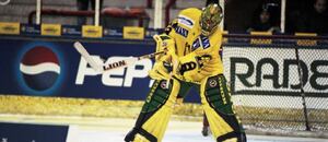 Pětinásobný výherce trofeje Nejlepší brankář ELH Roman Čechmánek v dresu Vsetína, fotka z roku 2000 Pětinásobný výherce trofeje Nejlepší brankář ELH Roman Čechmánek v dresu Vsetína, fotka z roku 2000