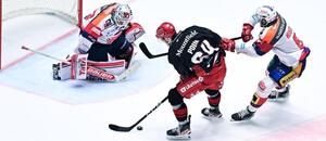 Hokej play off semifinále ELH, Hradec Králové vs. Pardubice, Jakub Pour z Mountfieldu zakončuje proti pardubickému gólmanovi Romanu Willovi Hokej play off semifinále ELH, Hradec Králové vs. Pardubice, Jakub Pour z Mountfieldu zakončuje proti pardubickému gólmanovi Romanu Willovi