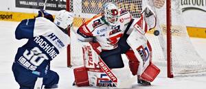 Útočník Tomáš Rachůnek z Komety Brno střílí na pardubického brankáře Romana Willa. Uvidíme stejný obrázek i ve finále play off ELH 2025? Sledujte bitvu o titul živě na TV Tipsport. Útočník Tomáš Rachůnek z Komety Brno střílí na pardubického brankáře Romana Willa. Uvidíme stejný obrázek i ve finále play off ELH 2025? Sledujte bitvu o titul živě na TV Tipsport.