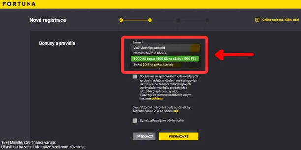 Výběr bonusu v&nbsp;registračním formuláři