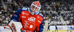 Brankář Pardubic Roman Will v zápase 2. kola hokejové extraligy proti Liberci. Dnes Dynamo v ELH hostí Mladou Boleslav.