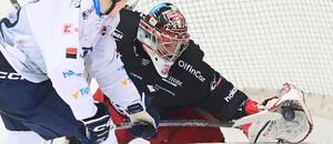 Hradec Králové vs. Plzeň živě: Kde sledovat zápas v livestreamu?