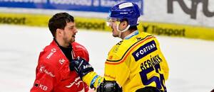 Libor Hudáček a Martin Beránek v lednovém zápase extraligy, opět se České Budějovice a Třinec střetnou právě dnes