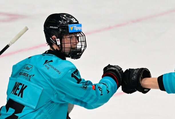 HC Energie Karlovy Vary vs. Banes Motor ČB: kde sledovat zápas živě a zdarma