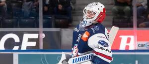Český brankář Šimon Hrubec v dresu ZSC Lions