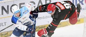 6. kolo TELH 2025/26: Na snímku zleva Jan Ekrt z Komety Brno a Oskars Batna hájící barvy Hradce Králové 6. kolo TELH 2025/26: Na snímku zleva Jan Ekrt z Komety Brno a Oskars Batna hájící barvy Hradce Králové