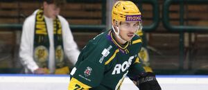 Na snímku vsetínský forvard Julius Valtonen Na snímku vsetínský forvard Julius Valtonen