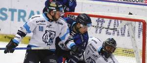 7. kolo ELH 2025/26: Zleva Denis Zeman z Liberce, vítkovický útočník Marek Kalus a liberecký brankář Petr Hamalčík 7. kolo ELH 2025/26: Zleva Denis Zeman z Liberce, vítkovický útočník Marek Kalus a liberecký brankář Petr Hamalčík