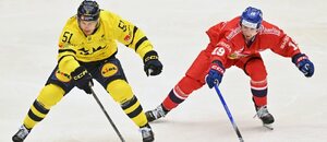Fotka ze zápasu Česko vs. Švédsko na Karjala Cupu 2024, vlevo Filip Hallander, vpravo náš Jakub Flek
