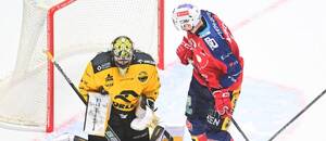 Střetnutí 10. kola TELH 2025/26: Na snímku litvínovský gólman Matej Tomek a Jáchym Kondelík, forvard ve službách Pardubic 