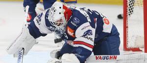 Český brankář Šimon Hrubec v zápase ZSC Lions vs. Zug ve švýcarské hokejové lize National League (NL). Kde zápasy NL sledovat živě a zdarma?