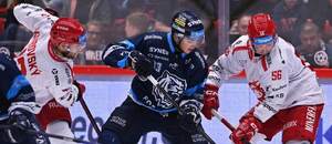 Zápas 16. kola ELH 2025/26: Na fotce zleva Daniel Kurovský z Třince, liberecký forvard Jaromír Pérez a Marko Daňo v barvách Ocelářů