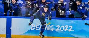 Hlavní hokejovou událostí roku 2026 budou Zimní olympijské hry v Miláně s hráči NHL. Zlato obhajují Finové