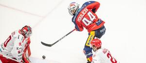 Patrik Poulíček z Pardubic v akci proti Třinci v minulém vzájemném duelu Tipsport extraligy