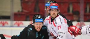 Na fotce Nick Jones (vlevo) a Michal Kovařčík