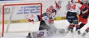 Pardubický brankář Roman Will v utkání proti Olomouci