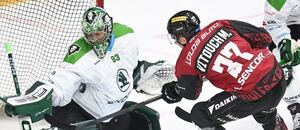 Útočník Michal Vitouch a brankář Vojtěch Mokry během zápasu Sparty s Mladou Boleslaví