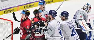 23. kolo TELH 2025/2026: Potyčka mezi hokejisty Plzně a Sparty