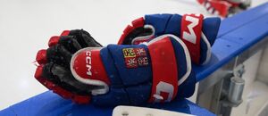 Komentář k debaklu českých hokejistů v utkání proti Kanadě na ZOH 2026 - ilustrační foto