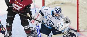 Utkání mezi Libercem a Spartou