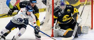 Utkání mezi Plzní a Litvínovem