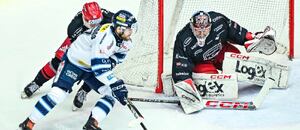 Dnešní utkání Liberec vs. Hradec Králové patří k hitům 51. kola Tipsport ELH 2025-26